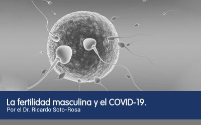 La fertilidad masculina y el COVID-19